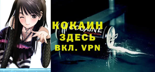 твердый Касимов