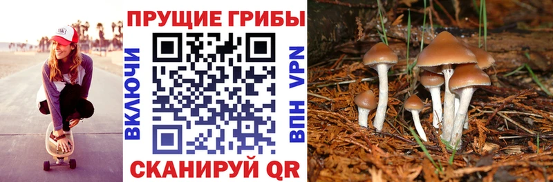 Галлюциногенные грибы прущие грибы  Купить закладки  Сухиничи 