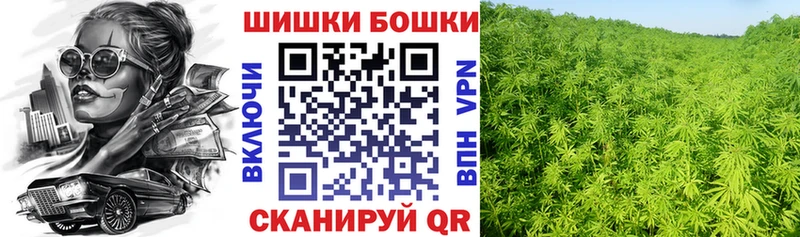 Купить Сухиничи МАРИХУАНА SATIVA & INDICA